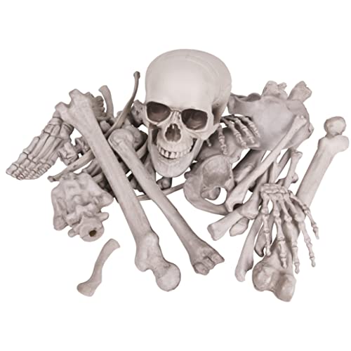 Kangaroo Box Of Bones 30 Pc Set With Skull, Flexible Jaw, Skeleton Bones