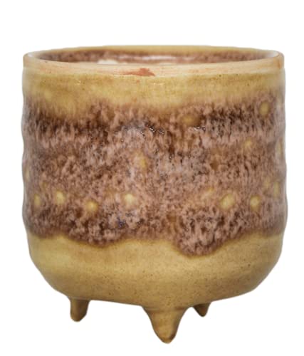 Ivyline Indoor Morganite Reactive Glaze Cacti Planter with Foot, H7 x W7 x D7cm