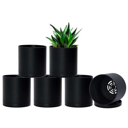 D'vine Dev 6-Pack Black Plastic Planters with Saucers, 5 in, 74-Y-G-3 - Lightweight Durable Build, Matte Finish, Cylindrical Shape, Efficient Drainage, Detachable Saucer, Minimalist Modern Style