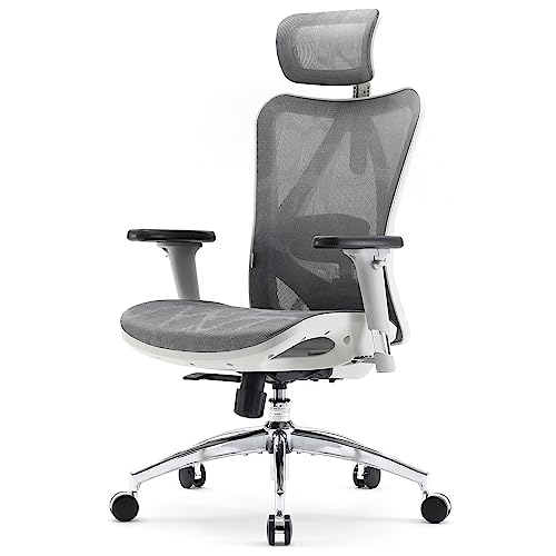 SIHOO Ergonomic Office Chair Mesh Desk Chair with Adjustable Lumbar Support 3D Armrests Breathable High Back Computer Chair (Light Gray)