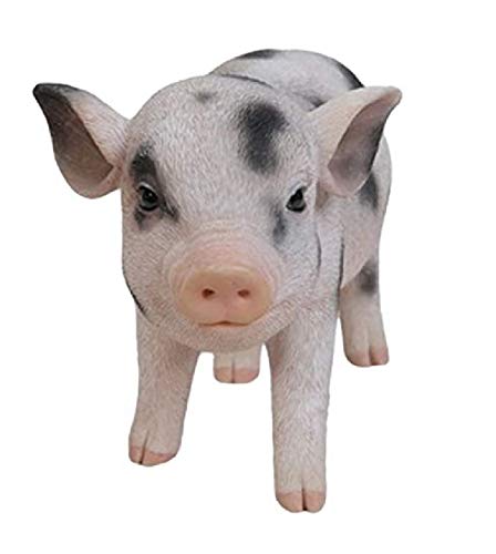 Hi-Line Gift Ltd Standing Baby Pig with black Spots