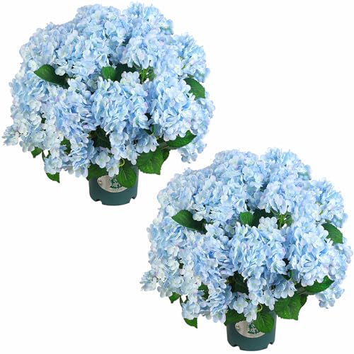 QIANYUN Artificial Topiary for Outdoors -20??? Potted Plant Fake Hydrangea Bush-UV Resistant Artificial Outdoor Plants for Front Porch, Garden, Yard, Patio Decor (Blue)