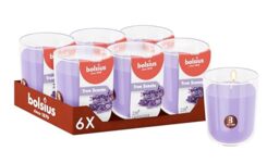 Bolsius - Lavender - Purple - Set of 6 Scented Candles - 3.2″ × 2.8″ - Burn time: 25 Hours - with Natural extracts - Natural Vegetable Wax - Palm Oil Free