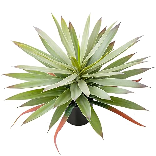 Briful Large Fake Agave Plant 17.3 Inch Artificial Yucca Potted Plants Outdoor Faux Agave Plants for Home Office Room Garden Front Porch Balcony Decor(Green)