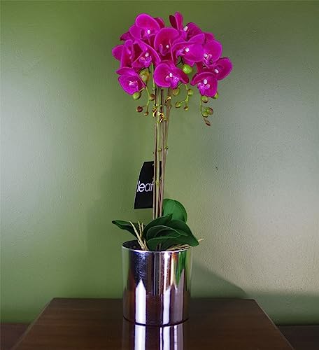 Botanik Realistic Artificial Orchid Plants Fully Potted