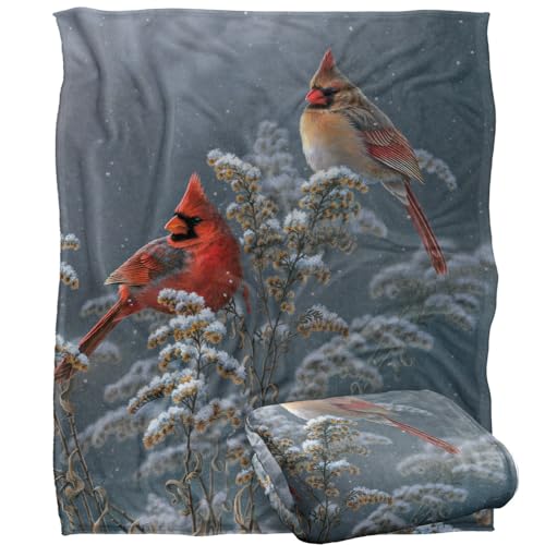 Jq Licensing - Lz Winter Cardinals Silky Touch Super Soft Throw Blanket 152 X 127 Cm