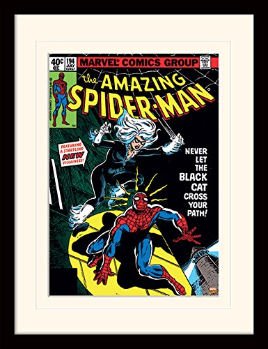 Spider-Man 30 x 40 cm Black Cat Man Mounted and Framed Print