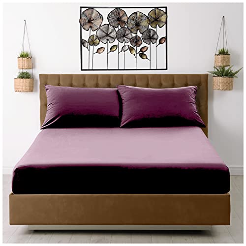 GC GAVENO CAVAILIA Extra Deep, Non Iron Percale Fitted Sheet, Super Soft Plain Dyed Easy Care Bedding, Polycotton, Berry, Double