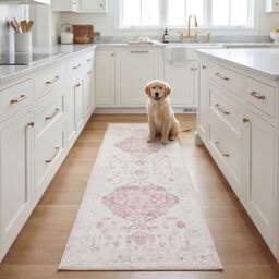 SAFAVIEH Traditional Rug Ideal for High Traffic Areas - Machine Washable and Non Slip - Tucson Collection, Short Pile, in Beige and Red, 76 X 244 cm