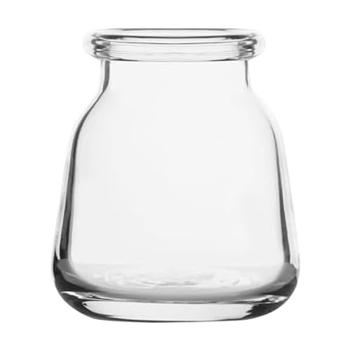 Elements Glass Milk Bottle Vase, for Use with Dried or Faux Flowers and Greenery, 4.2x4.2x4.72 Inch, Clear