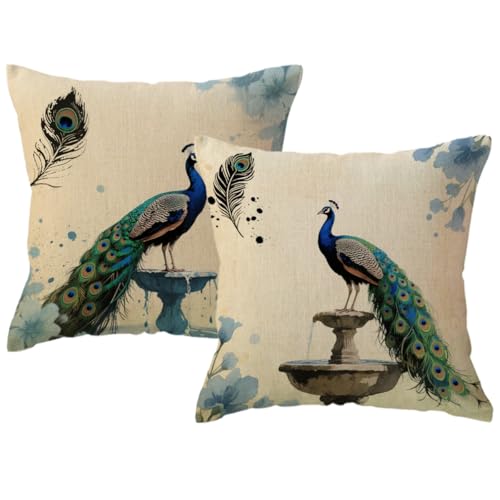 ULOVE LOVE YOURSELF 2Pack Peacock Throw Pillow Covers Only Decorative Square Pillowcases Cotton Linen Cushion Cover 18 X 18 Inch (Peacock)