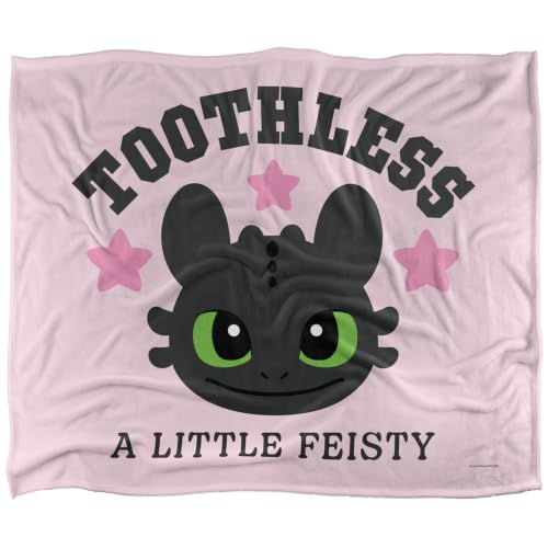 Toothless A Little Feisty Silky Touch Super Soft Throw Blanket 152 X 127 Cm
