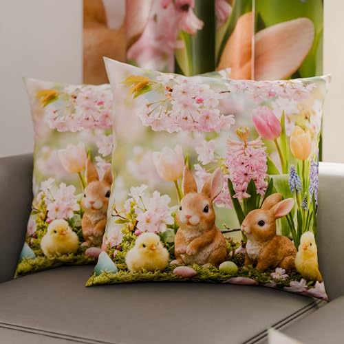PETTI Artigiani Italiani - Set of 2 Easter Cushion Covers 50x50 cm in Microfibre, Easter Decorative Cushions for Bedroom, Sofa and Living Room, 2 Decorative Pillow Covers, 100% Made in Italy