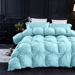 Three Geese Goose Feather Down Comforter Queen Size Duvet, 750+ Fill Power, 1200TC 100% Cotton, Premium Aqua Sky Duvet for All Seasons with 8 Tabs