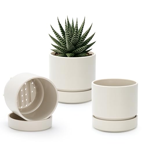 Phoenix Vine 4 Inch Planter Pot with Drainage Hole & Saucer, Deep Water Catch Tray, Straight Cylindrical Round Pot for Plants, Oatmeal, Pack of 3, 23-E-R-3