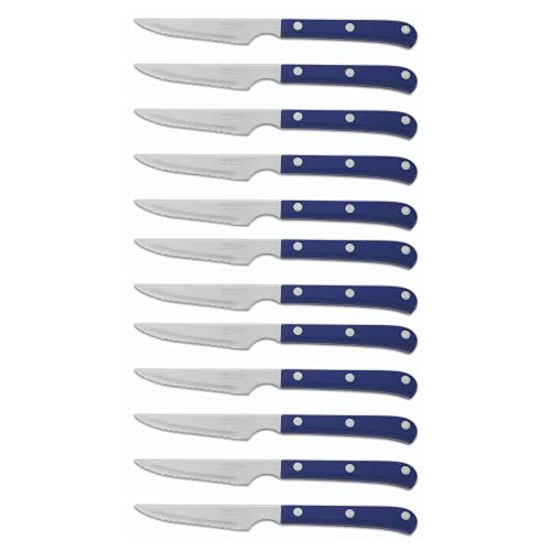 Arcos Table Knives - Box 12 pieces Steak Knife Table Knife - Blade Nitrum Stainless Steel 115 mm (4.53 Inch) - Handle Polyoxymethylene (POM) Blue colour (12 Piece)