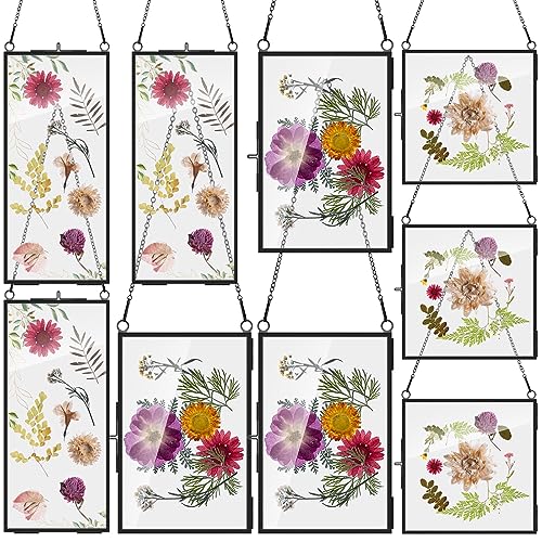 Barydat 9 Pack Black Glass Frames for Pressed Flowers 6 x 6, 6 x 8, 4 x 9 in Hanging Picture Frame Floating Art Photo Display Frame Double Glass with Chain for Dried Plant Specimen Gallery Wall Decor