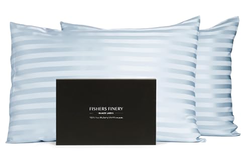 Fishers Finery 30mm 100% Pure Mulberry Silk Pillowcase Set, Good Housekeeping Quality Tested (Blue Stripe, Standard, 2 Pack)