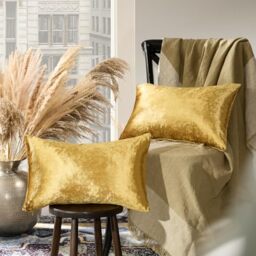GIGIZAZA Gold Velvet Decorative Throw Pillow Covers for Sofa Bed 2 Pack Soft Cushion Cover