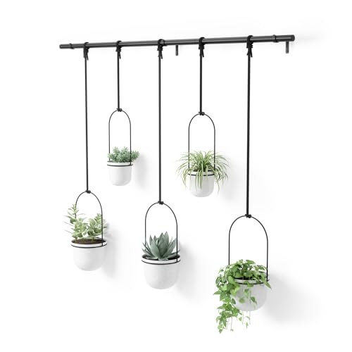 Umbra Triflora Hanging Planter, Window Herb Garden, Set of 5, White/Black - Adjustable ropes and rod, holds standard size pots, wall or ceiling mount, all hardware included, recycled plastic