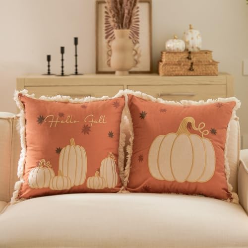 DN DECONATION Cushion Cover Pumpkin Autumn Decoration 45 x 45 cm Set of 2 Orange and Brown Cushion Covers with Tassels Decorative Cushion Cover Pumpkin Sofa Cushion for Living Room Bedroom Halloween