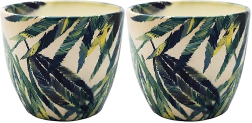 Ivyline Indoor Monza Botanical Fern Planter, Cream/Green, 15.5cm Diameter (Pack of 2)