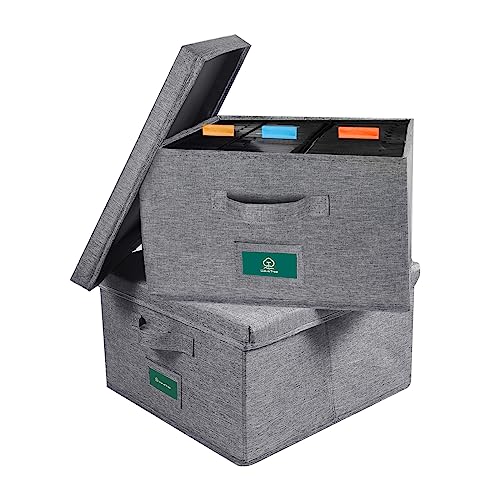 T WaveTree VHS Storage Box with Lid pack of 2, Practical VHS Storage Case with Index Labels, 14.4 x 13.4 x 8.2 Inches VHS Holder Storage Containers Hold up to 84 VHS Tapes- Gray