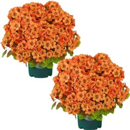 20 Inch Artificial Geranium Bush in Pot, UV Resistant Faux Outdoor Plant for Front Porch, Fall Artificial Flowers, Autumn Porch Decorations, Outdoor Potted Plant for Patio Garden Thanksgiving Decor