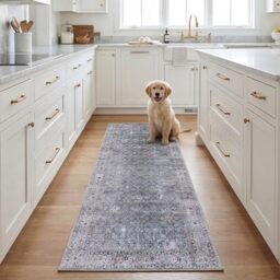 SAFAVIEH Traditional Rug Ideal for High Traffic Areas - Machine Washable and Non Slip - Tucson Collection, Short Pile, in Blue and Beige, 76 X 244 cm
