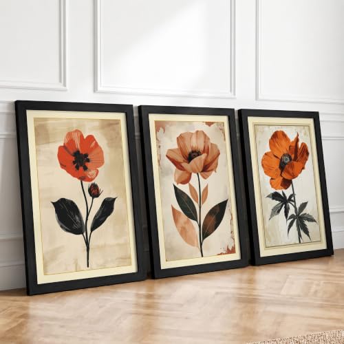 Poppy Botanical Studies Botanical Set of 3 Framed Wall Art Prints A3
