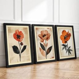 Poppy Botanical Studies Botanical Set of 3 Framed Wall Art Prints A3