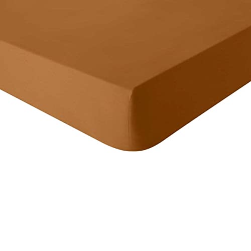 Essix Plain Cotton Fitted Sheet, Made in France, 160 x 200 cm