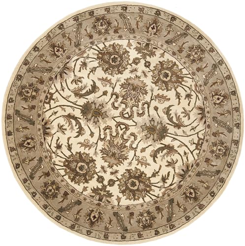 Safavieh Traditional Rug for Living Room, Dining Room, Bedroom - Royalty Collection, Short Pile, in Ivory and Dark Beige, 152 X 152 cm