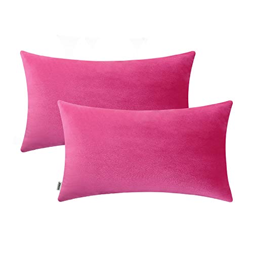 Jeneoo Set of 2 Comfy Soft Velvet Lumbar Throw Pillow Cases for Sofa Couch, Decorative Solid Rectangle Cushion Covers for Bedroom Car (12 x 20 Inches, Hot Pink)