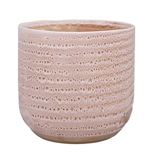 Ivyline Textured Glaze Plant Pot 13cm Dia - Contemporary Glazed Pot with Textured Crackle Design- Indoor Planter Flower Pot for Cacti Succulents and Small House Plants (Morganite)