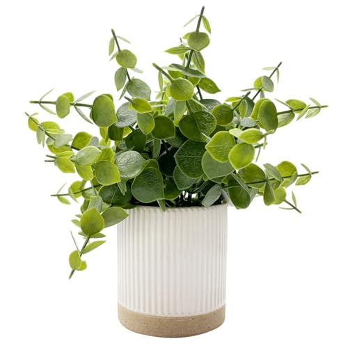 "Coferset Small Fake Eucalyptus for Decorative Trays,9.5"" Artificial Eucalyptus Ceramic Potted Plants for Office Desk,Faux Greenery Plant for Home Bathroom Floating Shelves Decor(Green)"
