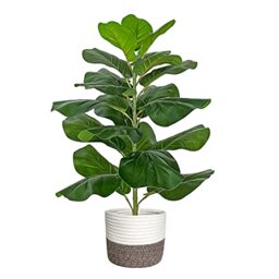"BESAMENATURE Artificial Fiddle Leaf Fig Tree/Faux Ficus Lyrata for Home Office Decoration, 30.5"" Tall, with Cotton Rope Basket"