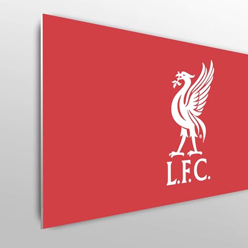 fan decor Licensed Décor Liverpool FC Single Headboard - 100cm (w) x 75cm (h) - Liver Bird in White on Brand Red