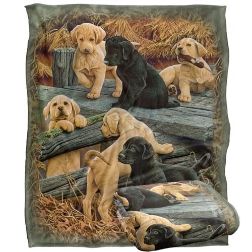 Rle Labrador Pups Silky Touch Super Soft Throw Blanket 152 X 127 cm, White