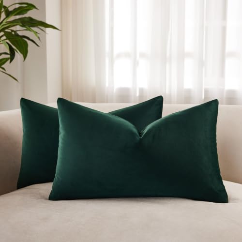 JUSPURBET Pack of 2 Velvet Soft Solid Decorative Throw Pillow Covers Cushion Case for Couch Bed 16x24 Inch Khaki Green