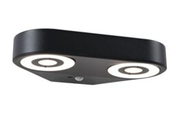 Paulmann 94866 LED Outdoor wall luminaire Silma Motion Sensor Dual Light Emission IP44 280x176mm 3000K 2x5.5W / 2x0.7W 2x600lm 230V Anthracite