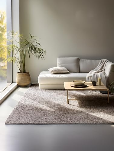 freundin Home Collection Shaggy Rug - Fluffy High Pile Living Room Rug - Plain Soft Easy Care Long Pile for Living Room, Dining Room, Bedroom, Children's Room - Beige Brown, 80 x 120 cm