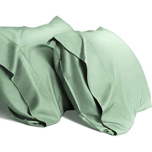 WishSmile Cooling Queen Pillowcases Set of 2 Breathable Cool Silky Soft Rayon Derived from Bamboo Fabric, Moisture Wicking for Hot Sleepers, Hair and Skin Friendly, Jade Green, 2 Pack, 20x30IN