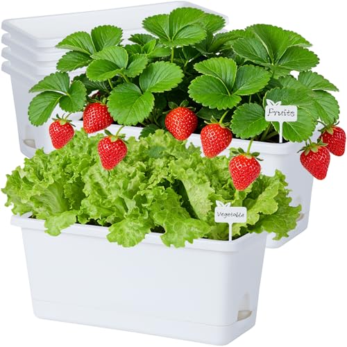 Oliz Window Box Planter 6 Packs, 13.8 Inches Rectangle Flower Pots with Drainage Holes & Trays, Pots for Vegetables, Herbs, Flowers, Garden Windowsill Balcony (White)