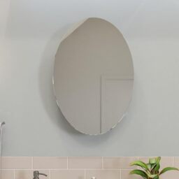 Croydex Tay Oval Polished Stainless Steel Bathroom Storage Cabinet with Mirrored Door, Ideal Bathroom Mirror Solution for Small Spaces, Fixed Shelf, 90-Degree Pivot Hinge, 650x450mm