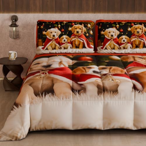 PETTI Artigiani Italiani Christmas Winter Duvet 270 ?? 260 cm - Christmas 18, reversible microfibre quilt, 300 g/m??, Made in Italy