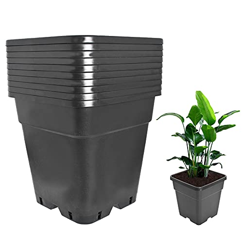 LiGuVCY Plant Pots Flower Pot 10-Pack 1 Gallon Planter Nursery Pot Garden Seedling Planters Containers Plastic Injection Molded Pots with Drainage Holes for Outdoor Indoor Plants Vegetables, Black