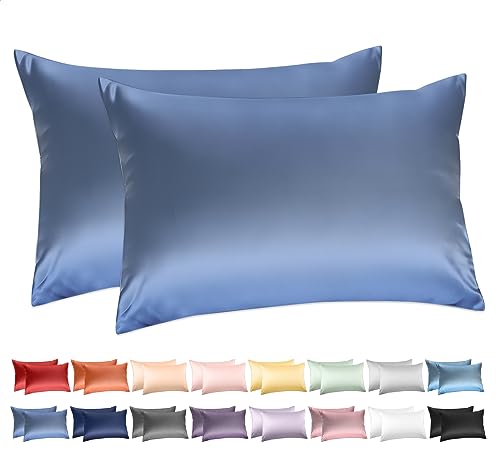 100% Cotton Standard Pillowcases Set of 2, Deep Dream 600 Thread Count Pillow Cases, 20x26 Inches, Super Soft and Breathable Envelope Closure (Gray Blue)