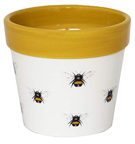 Ivyline Cacti Planter Bumble Bee H13cm D13Cm, White/Mustard