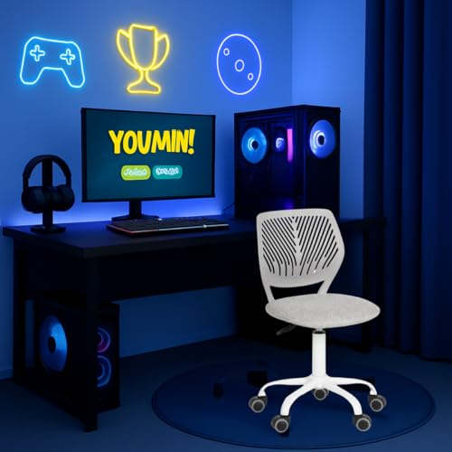 FurnitureR Ergonomic Computer Gaming Chair Home Entertainment Video and Computer Game,E-Sports Leisure Time Play for Teen Boy Girl,Height Adjustable with Lumbar Support,360 Swivel Caster,MO grey